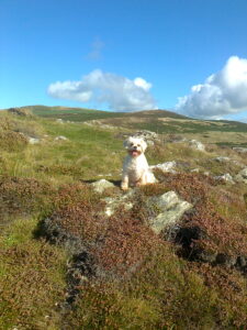 Molly Age 9 at Bradda Head